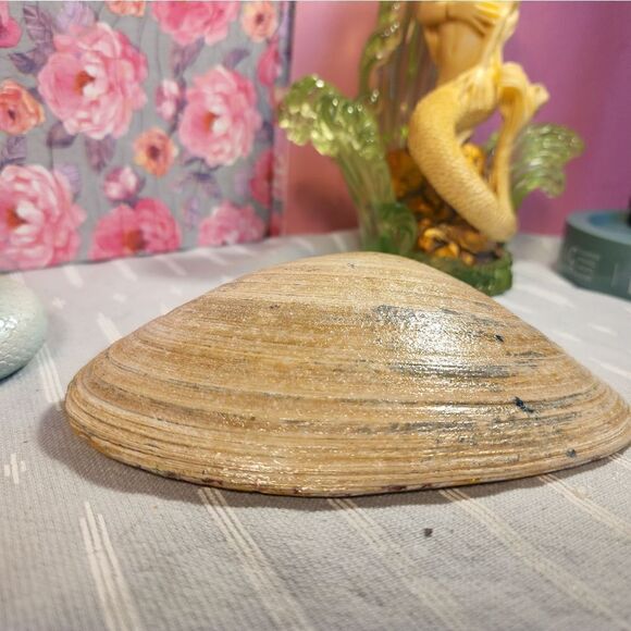 DECOUPAGE CLAM SHELL DECOUPAGE FLOWERS TRINKET DISH - Picture 11 of 11